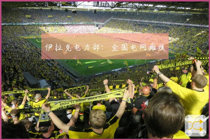 伊拉克电力部：全国电网瘫痪